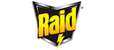 raid